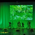 DANS TRIBAL Trupa de Dans si Entertainment The Sky Iasi by Adrian Stefan Tribal Dance