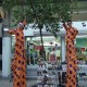 Catalige Picioroange Stilts Trupa de Dans si Entertainment The Sky Iasi by Adrian Stefan