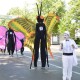 Catalige Picioroange Stilts Trupa de Dans si Entertainment The Sky Iasi by Adrian Stefan