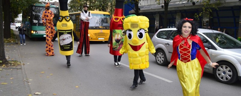 Parada Stradala Streets Parade Trupa de Dans si Entertainment The Sky Iasi by Adrian Stefan